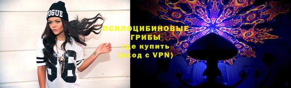 спайс Алзамай