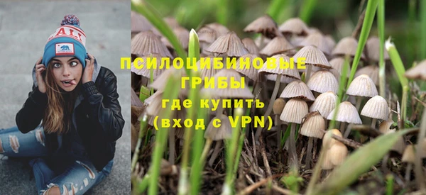 ПСИЛОЦИБИНОВЫЕ ГРИБЫ Алексин