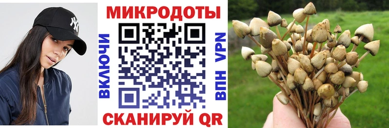 мориарти формула  Гусь-Хрустальный  Псилоцибиновые грибы Cubensis 