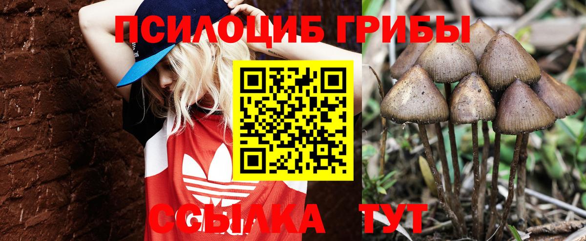 Псилоцибиновые грибы мицелий Гусь-Хрустальный