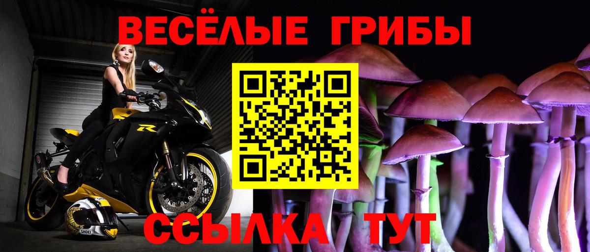 Гусь-Хрустальный  Псилоцибиновые грибы Magic Shrooms  Вход с VPN 